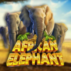 African Elephant