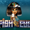 Fish Eye Demo