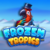 Frozen Tropics