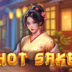 Hot Sake Demo