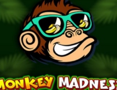 Monkey Madness