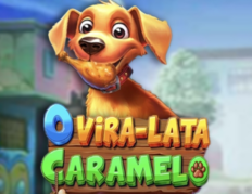 O Vira-Lata Caramelo