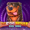 The Dog House Dice Show Demo