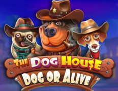 The Dog House Dog or Alive