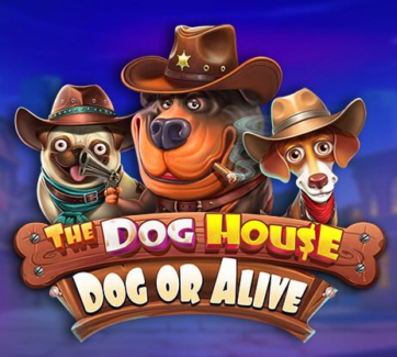 The Dog House Dog or Alive