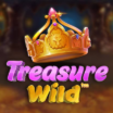 Treasure Wild Demo
