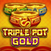 Triple Pot Gold