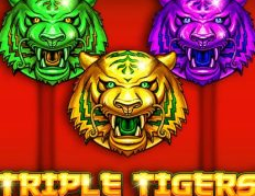 Triple Tigers