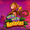 Wild Wild Bananas